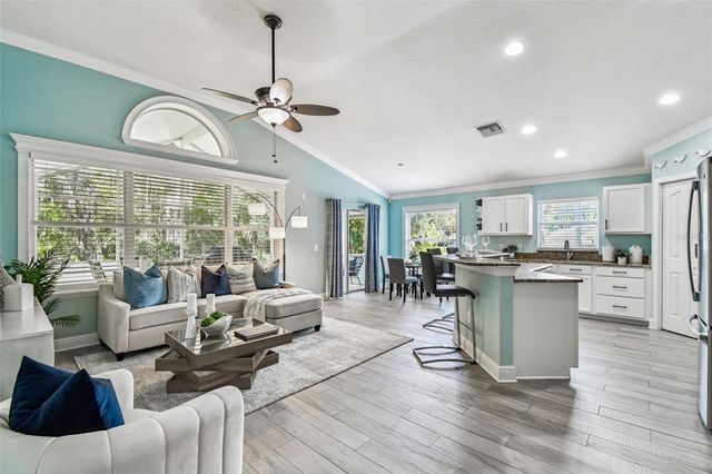 13401 FAWN SPRINGS DRIVE, Tampa, FL 33626