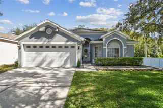 13401 FAWN SPRINGS DRIVE, Tampa, FL 33626