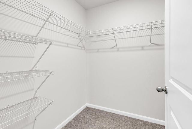 193 Country Grove Way, Galivants Ferry, SC 29544