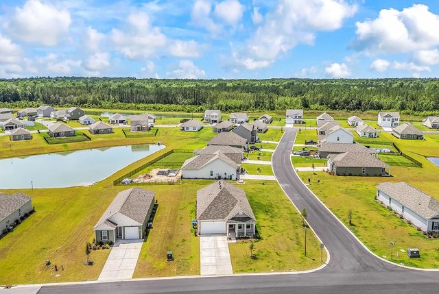 193 Country Grove Way, Galivants Ferry, SC 29544