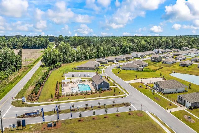 193 Country Grove Way, Galivants Ferry, SC 29544