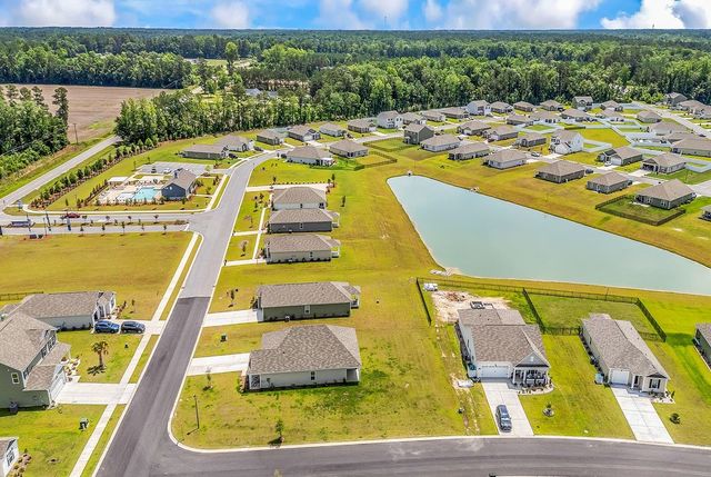 193 Country Grove Way, Galivants Ferry, SC 29544