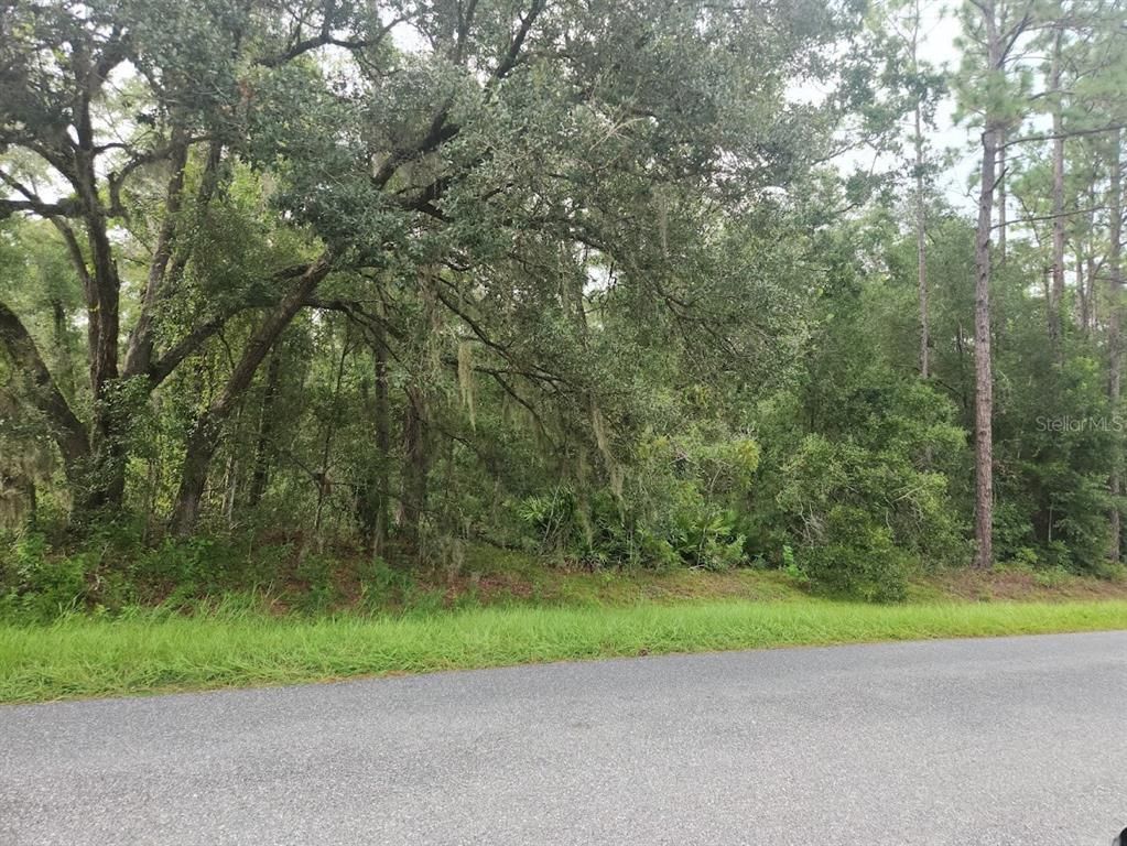 Lot 3 SW 61 ST PLACE ROAD, Ocala, FL 34481