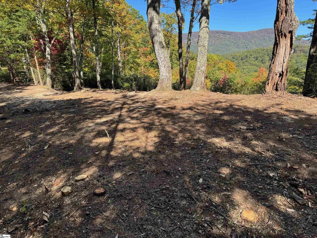 112 Ridge Pass Way, Landrum, SC 29356
