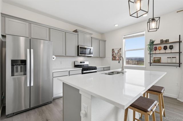 16149 Alpine Sorrel Drive, Monument, CO 80132