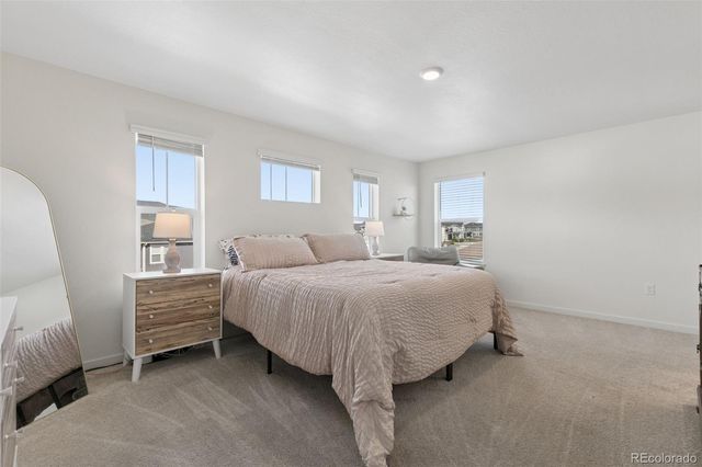 16149 Alpine Sorrel Drive, Monument, CO 80132