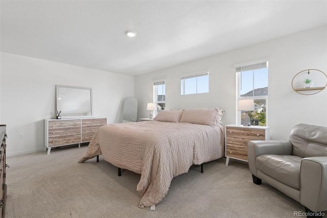 16149 Alpine Sorrel Drive, Monument, CO 80132