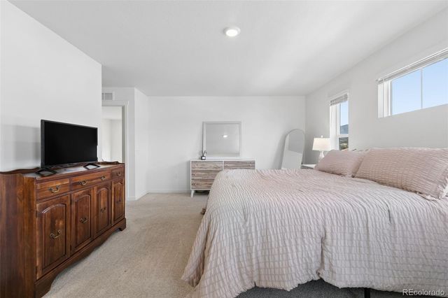 16149 Alpine Sorrel Drive, Monument, CO 80132