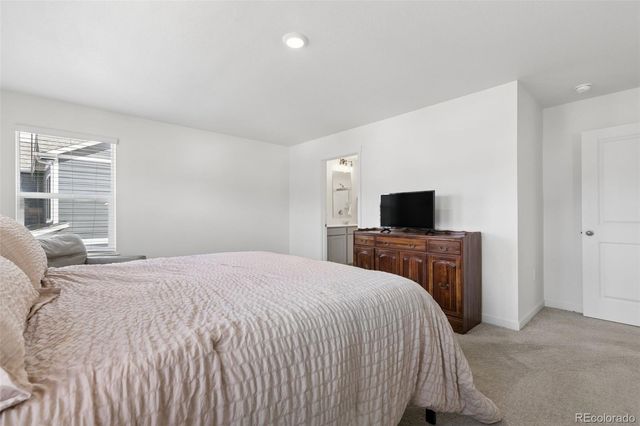 16149 Alpine Sorrel Drive, Monument, CO 80132