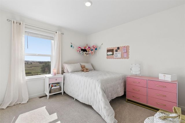 16149 Alpine Sorrel Drive, Monument, CO 80132