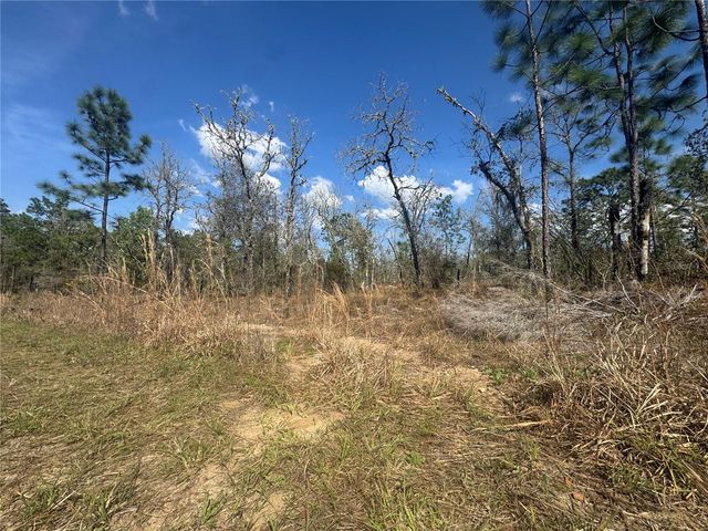 tbd NE 155TH AVENUE, Williston, FL 32696