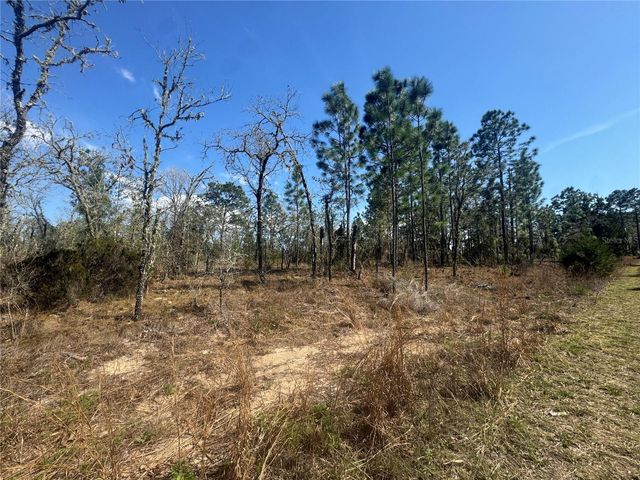 tbd NE 155TH AVENUE, Williston, FL 32696