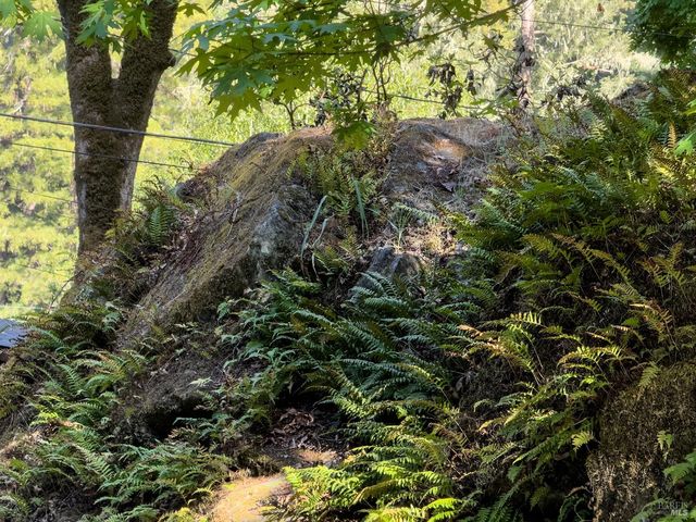 5845 Austin Creek Rd, Cazadero, CA 95421