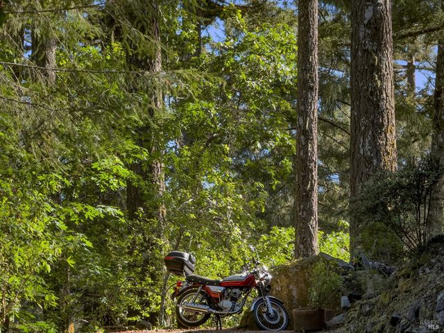 5845 Austin Creek Rd, Cazadero, CA 95421