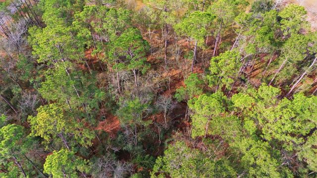 18003 Country Place Drive, Conroe, TX 77302