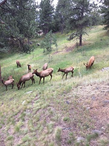 1419 Tamarac Drive, Golden, CO 80401