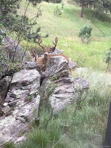 1419 Tamarac Drive, Golden, CO 80401