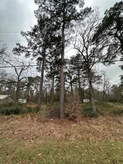 TBD Mary Drive, Huntsville, TX 77320