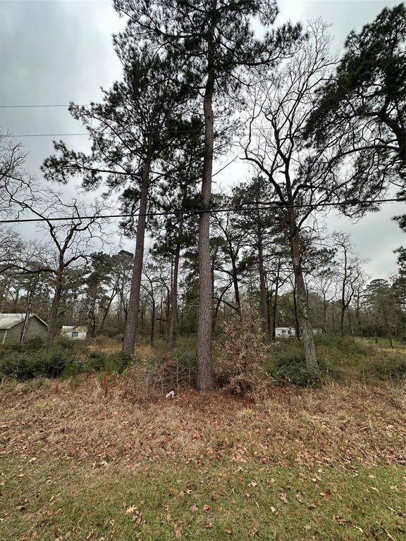 TBD Mary Drive, Huntsville, TX 77320