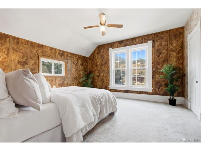 2128 Virginia St, Idaho Springs, CO 80452