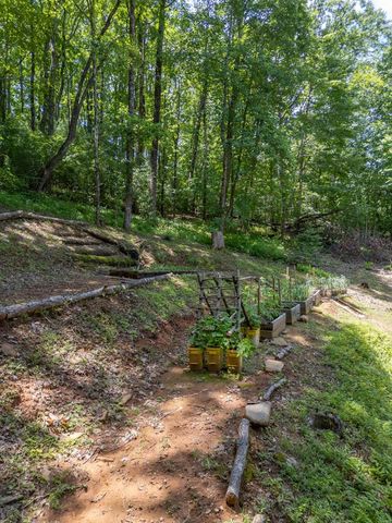 210 Mcdaniel Lane, Suches, GA 30572