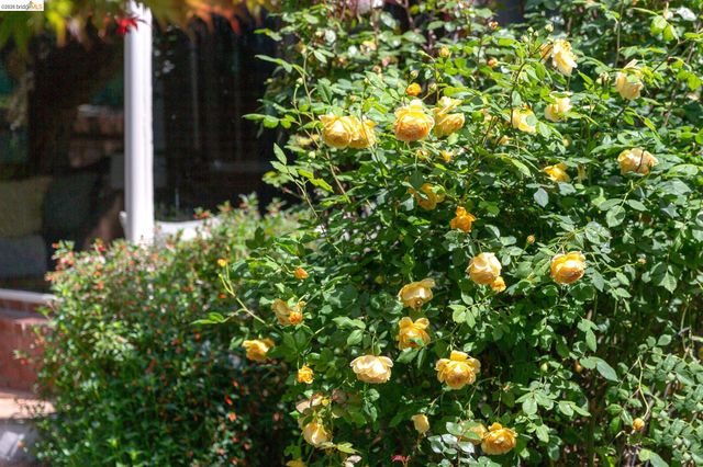 1500 Hampel Street, Oakland, CA 94602