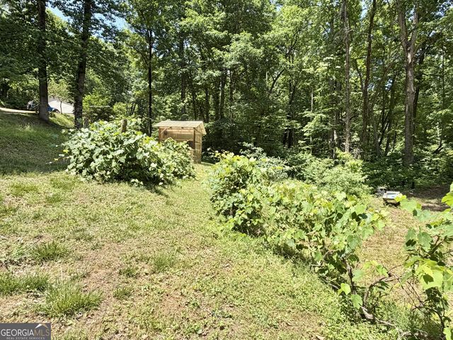 325 Fern Valley Trail, Clarkesville, GA 30523