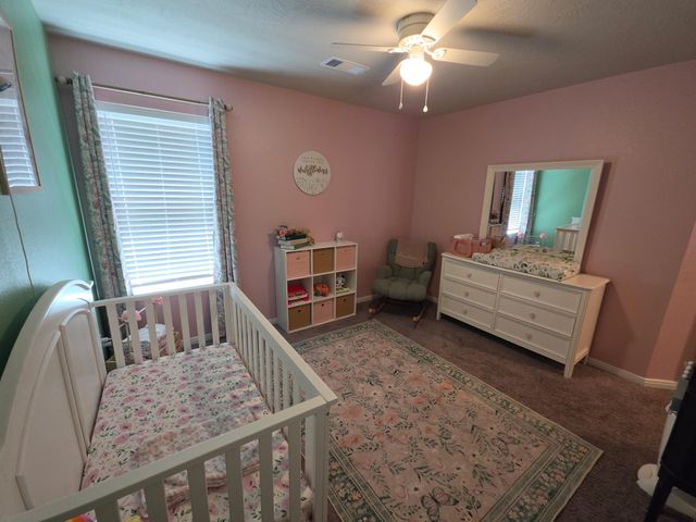 14372 N Summerchase Circle, Willis, TX 77318