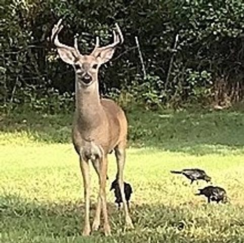 408 County Road 4856, Newark, TX 76071