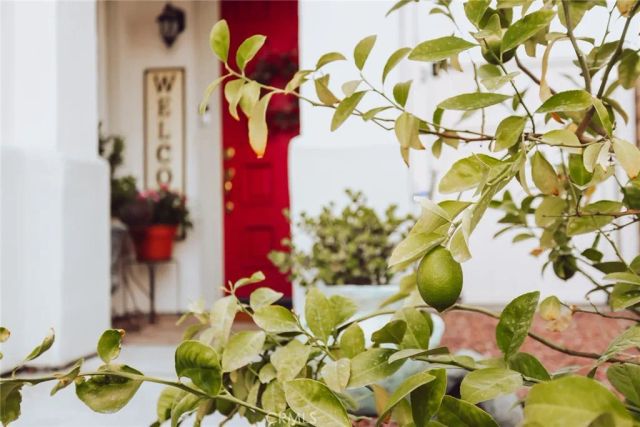 444 Monte Vista, Palm Desert, CA 92260