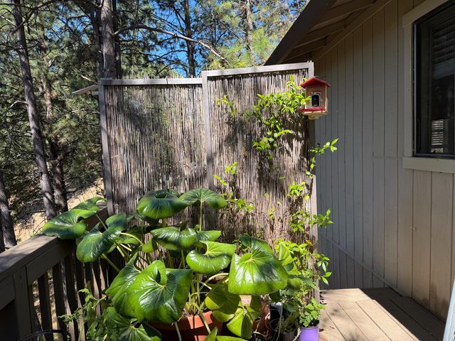 424 Catskill Dr, Colfax, CA 95713