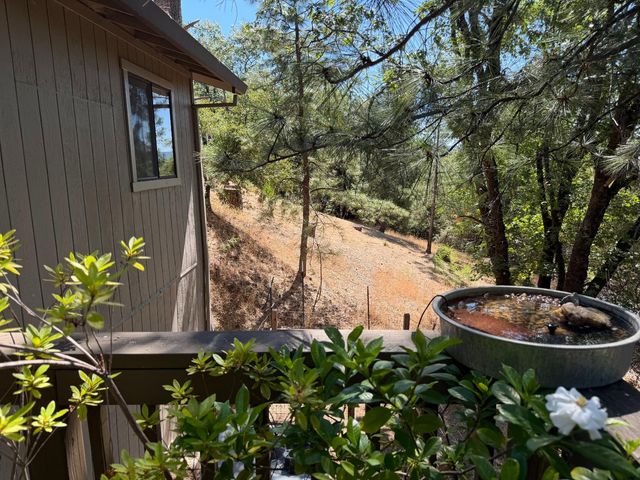 424 Catskill Dr, Colfax, CA 95713