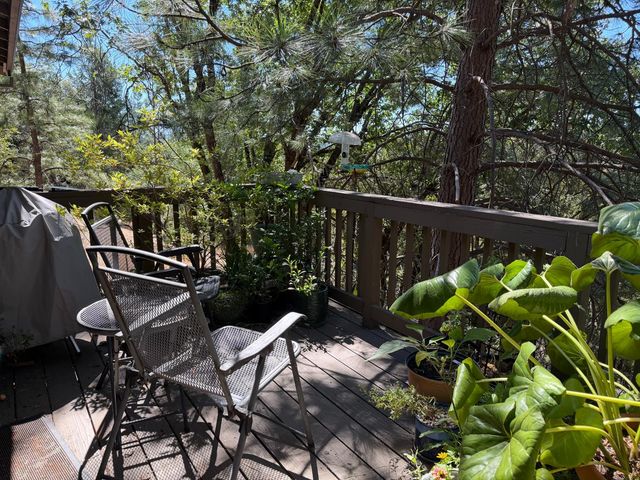 424 Catskill Dr, Colfax, CA 95713