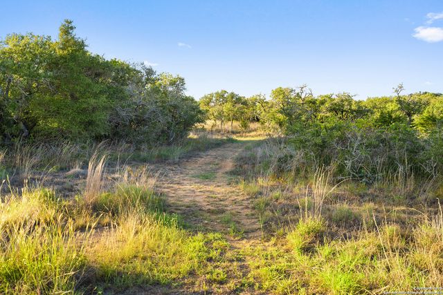 370 Gray Wolf, Blanco, TX 78606