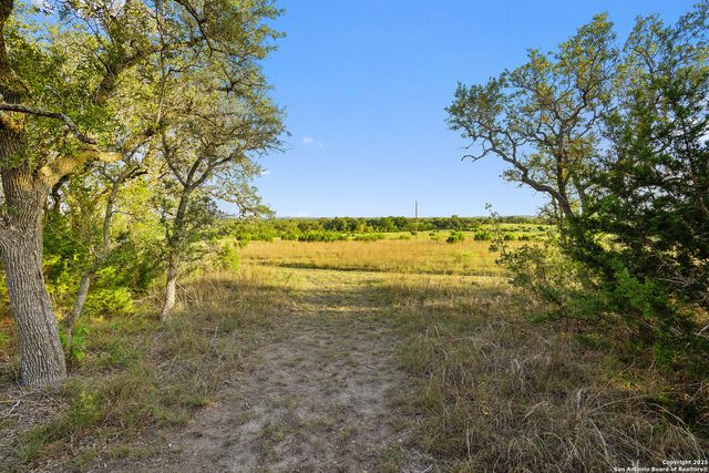 370 Gray Wolf, Blanco, TX 78606