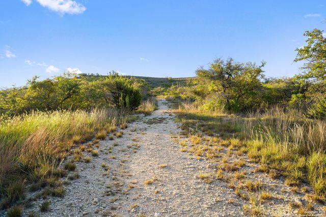 370 Gray Wolf, Blanco, TX 78606