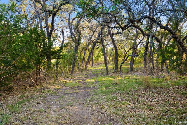 370 Gray Wolf, Blanco, TX 78606