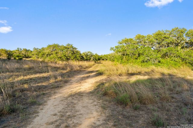 370 Gray Wolf, Blanco, TX 78606