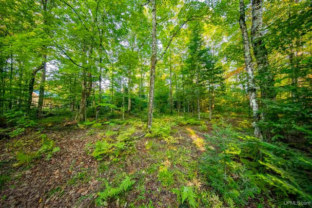 TBD Luke Road, Amasa, MI 49903