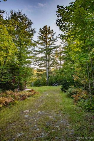 TBD Luke Road, Amasa, MI 49903