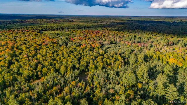 TBD Luke Road, Amasa, MI 49903