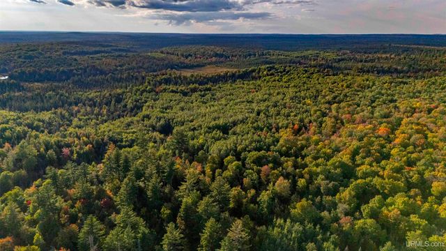 TBD Luke Road, Amasa, MI 49903