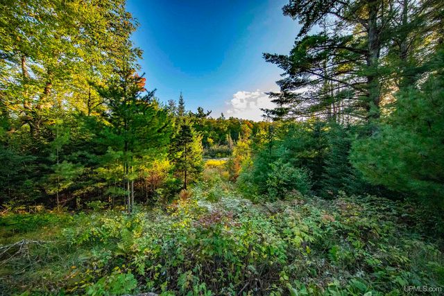 TBD Luke Road, Amasa, MI 49903