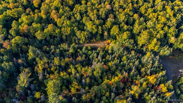 TBD Luke Road, Amasa, MI 49903