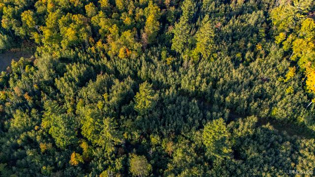 TBD Luke Road, Amasa, MI 49903