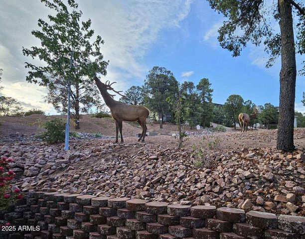 908 W SHERWOOD Drive, Payson, AZ 85541