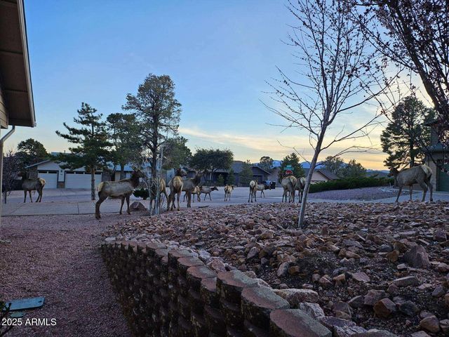 908 W SHERWOOD Drive, Payson, AZ 85541