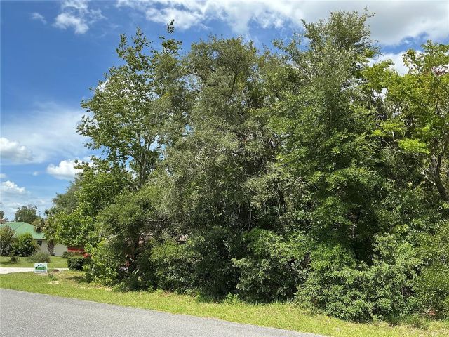 MARION OAKS DRIVE, Ocala, FL 34473