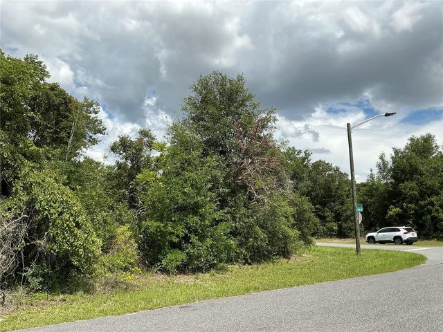 MARION OAKS DRIVE, Ocala, FL 34473