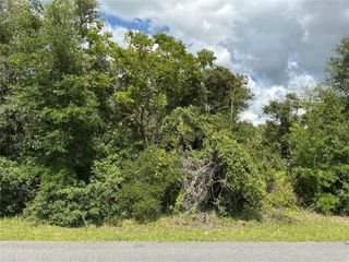 MARION OAKS DRIVE, Ocala, FL 34473